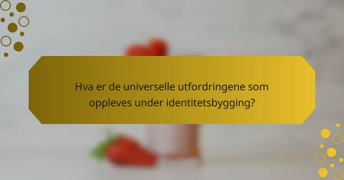 Hva er de universelle utfordringene som oppleves under identitetsbygging?